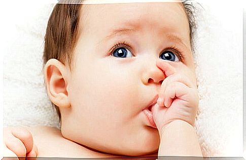 Finger sucking is another of the newborn's behaviors in the first months of life