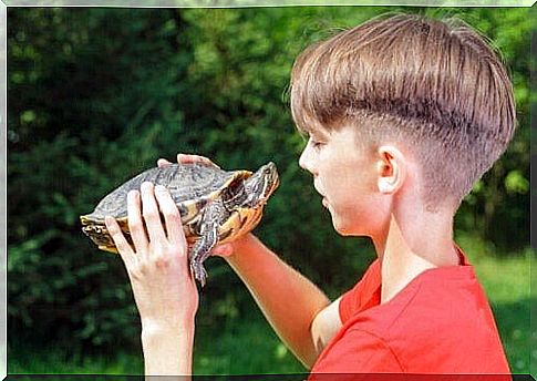 Effects of the turtle technique on self-control