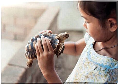 Effects of the turtle technique, little girl and turtle.