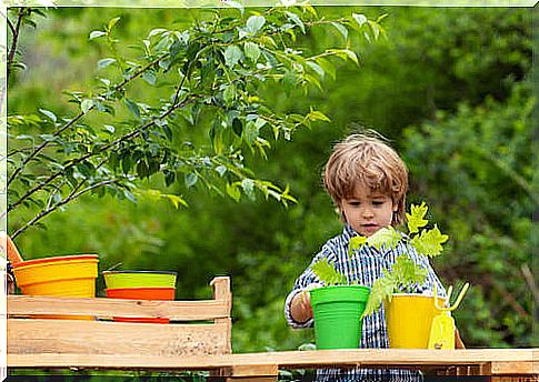 Child planting plants in a pot.