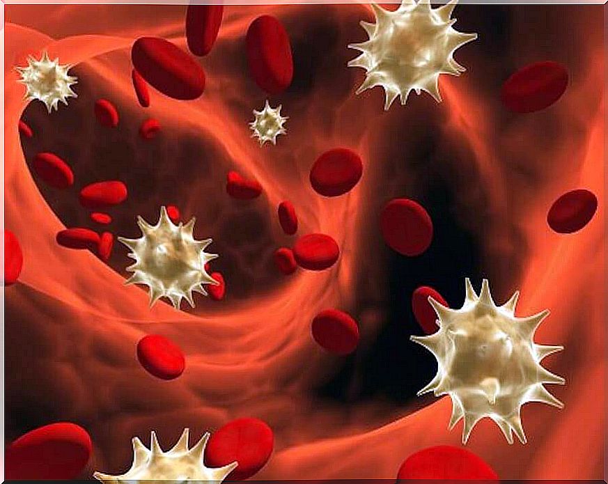 the immune defenses protect the body from external pathogens