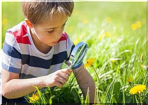 Bambino che guarda l'erba con la lente di ingrandimento