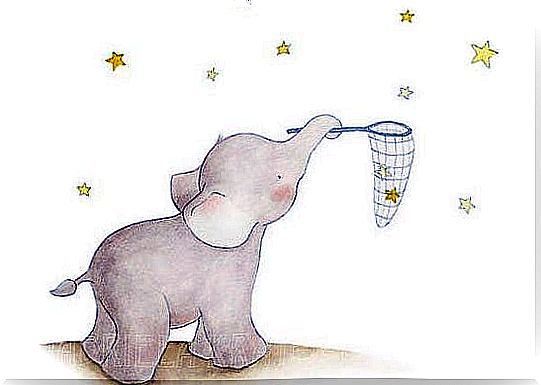 Elefante e stelle.
